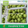 Poire shandong / Poire Corée / Fruits frais exportateurs Chine